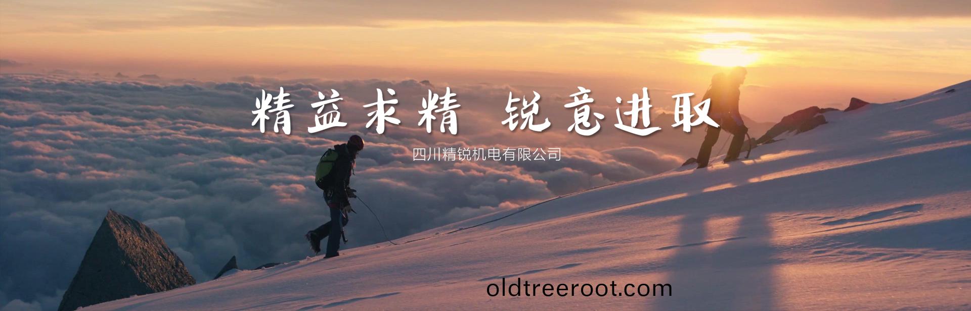 精益(yi)求(qiu)精(jing) 銳(rui)意(yi)進(jin)取(qu)