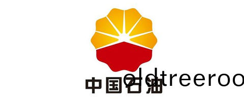 中國(guo)石油