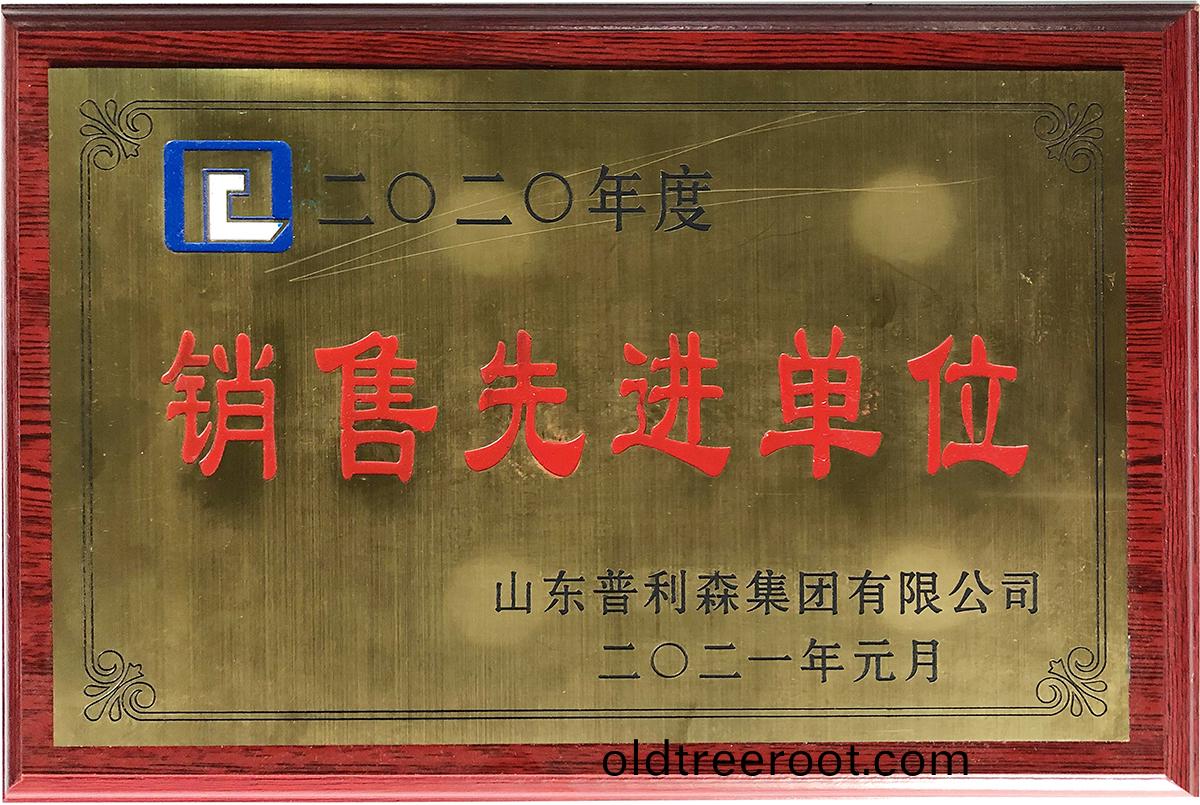 山(shan)東(dong)普(pu)利森(sen)集(ji)糰(tuan)有(you)限公司(si)2020年度(du)銷(xiao)售先進(jin)單(dan)位(wei)