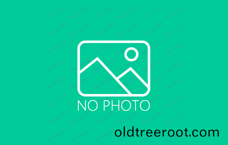 TK2150 TK2250 數(shu)控深孔鏜(tang)牀(chuang)