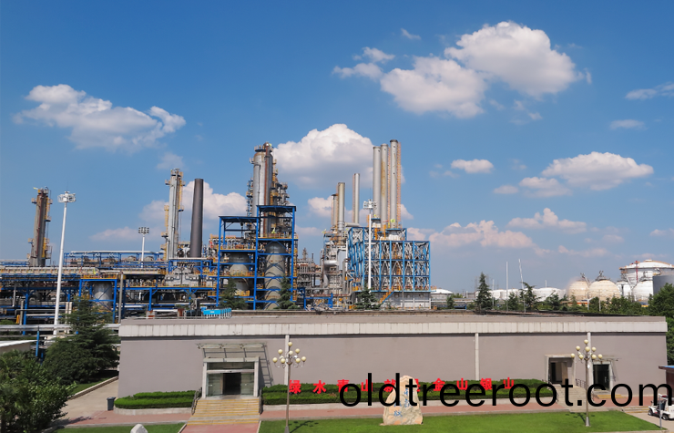 中(zhong)國(guo)石(shi)油(you)